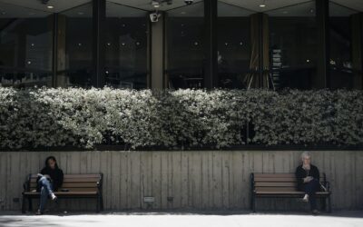 Clear Communication: More Trust in Government